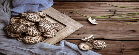 野生羊肚菌怎么找 干货野生羊肚菌怎样吃