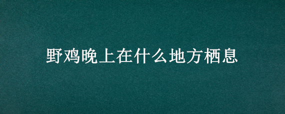 野鸡晚上在什么地方栖息 野鸡晚上几点放松警惕