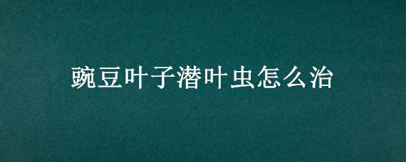 豌豆叶子潜叶虫怎么治（豌豆潜叶蝇用什么药防治）