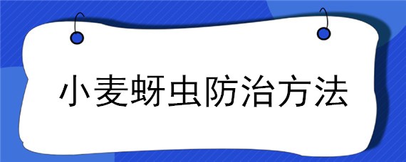 小麦蚜虫防治方法 小麦蚜虫防治方法图片