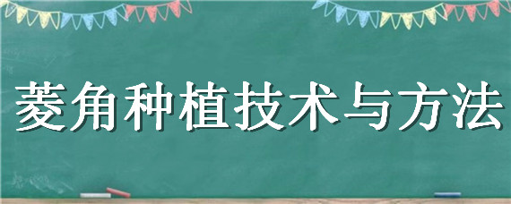 菱角种植技术与方法（菱角种植技术与方法视频教程）