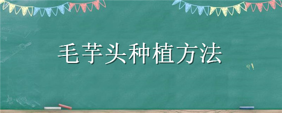 毛芋头种植方法 毛芋头种植技术和种植时间