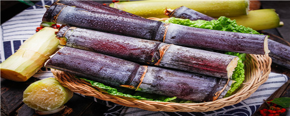 甘蔗施什么肥料最甜 甘蔗施什么肥料最甜长得高快