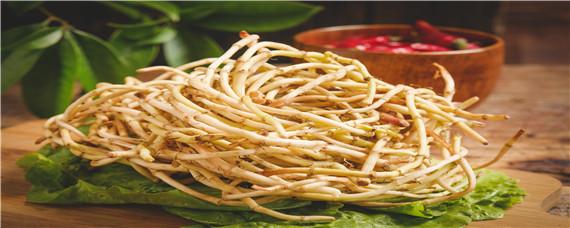 折耳根大棚种植技术 折耳根高产种植新技术i视频