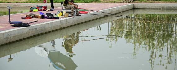 鱼塘水发黑怎么才能让水变清 池塘水发黑发臭快速处理方法