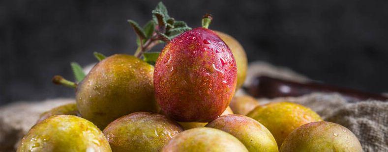 西梅树几年结果（西梅树几年能结果）