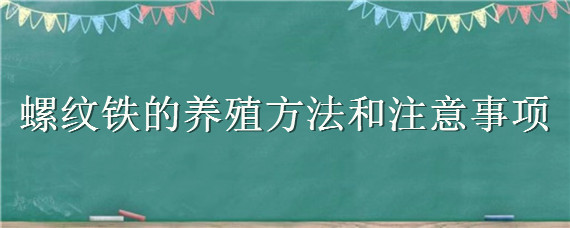 螺纹铁的养殖方法和注意事项 螺纹铁的养殖方法和注意事项视频讲解