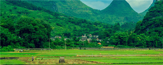 复种技术是什么意思（复种技术是什么意思呀）