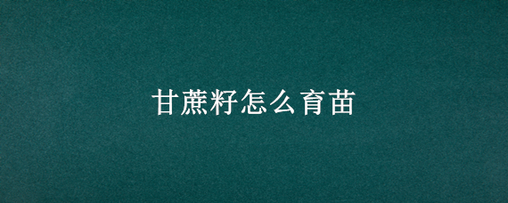 甘蔗籽怎么育苗 甘蔗籽怎么育苗图片