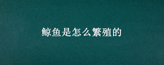 鲸鱼是怎么繁殖的（鲸鱼是怎么繁殖的）