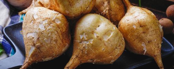 凉薯种植技术和管理方法 凉薯种植技术和管理方法时间