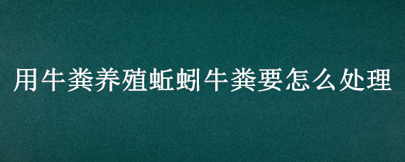 用牛粪养殖蚯蚓牛粪要怎么处理 牛粪养蚯蚓年赚千万是真的吗