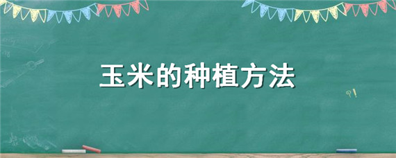 玉米的种植方法 玉米的种植方法和管理技术