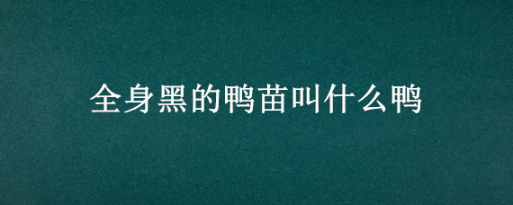 全身黑的鸭苗叫什么鸭 全身黑的鸭苗叫什么鸭子