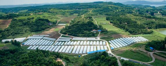 宋代农业发展的表现（宋代农业发展的表现是什么）