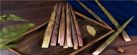 野生小竹笋几月份长出来（野生小竹笋什么时候采摘最好）