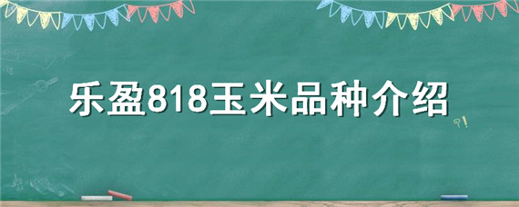 乐盈818玉米品种介绍 乐盈818玉米种子简介