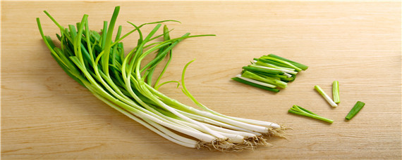 种葱要用什么肥料 种葱用什么肥料最好阳台