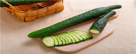 露天黄瓜株距多少 露天黄瓜种植间距