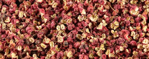 花椒种植需要什么条件 花椒种植需要什么条件才能种