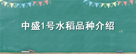 中盛1号水稻品种介绍（中盛21水稻）