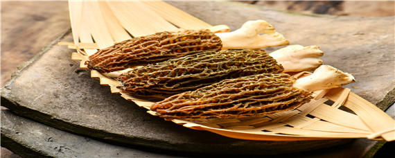 羊肚菌有野生的吗 干的羊肚菌多少钱一斤