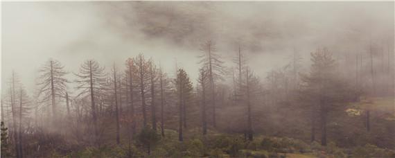 三级林地和四级林地的区别 三级林地属于什么性质