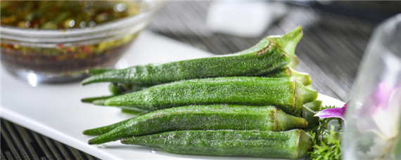 秋葵高产栽培技术 秋葵的种高产种植技术和管理