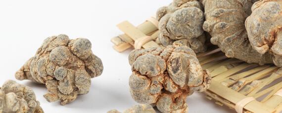 田七种植方法与生长环境 田七的种植方法和环境气候