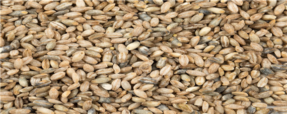 青稞种植业生产特点（青稞种植业生产特点是）