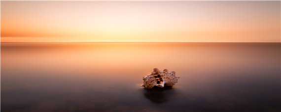 海螺怎么养（海螺怎么养才能活得更久）