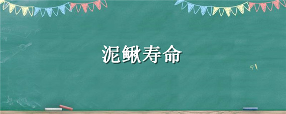 泥鳅寿命 泥鳅寿命能活多少年
