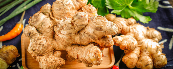 生姜的种植方法和管理技术（生姜的种植方法和管理方法）