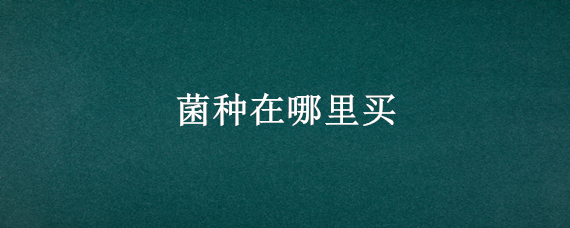 菌种在哪里买（平菇菌种在哪里买）