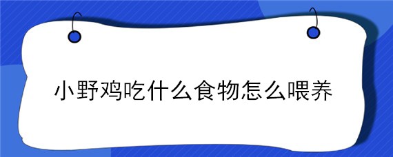 小野鸡吃什么食物怎么喂养 小野鸡喂什么饲料好