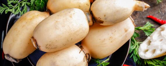 2米以上深水藕种植（深水藕种植技术）