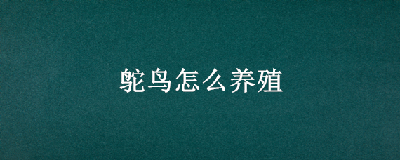 鸵鸟怎么养殖（鸵鸟怎么养殖吃什么）