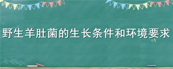 野生羊肚菌的生长条件和环境要求 野生羊肚菌一般生长在哪里