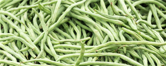 种豆角用什么做底肥 豆角喜欢什么肥料最好
