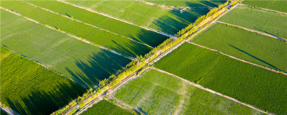 基本农田和非基本农田的区别（基本农田和非基本农田的区别?）