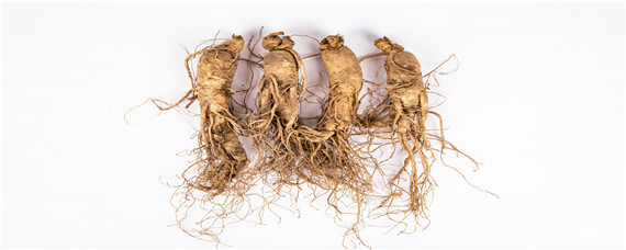 人参种植条件和方法（长白山人参种植条件和方法）