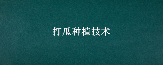 打瓜种植技术（打瓜种植技术和产量）