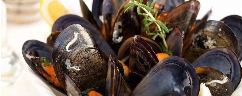 煮熟的海虹肉怎么储存 煮熟的海虹肉怎么储存时间长