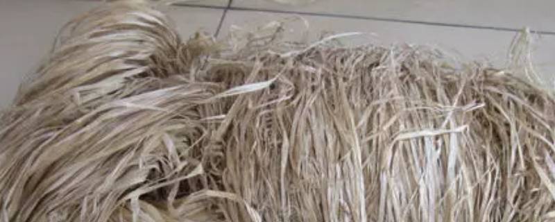 植物纤维是纯棉吗 棉质植物纤维是纯棉吗