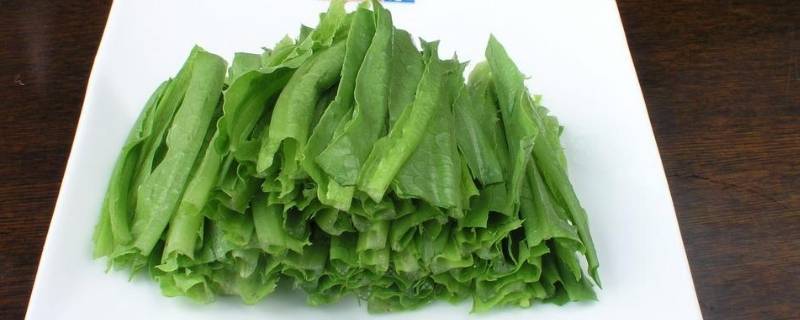 成都凤尾菜又叫什么（四川凤尾菜又叫什么菜）