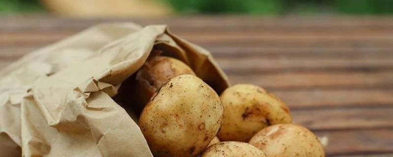 土豆蒸多久（土豆蒸多久会软烂）