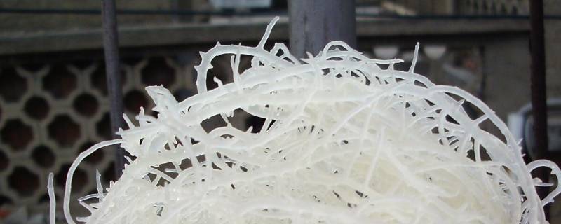 石花菜怎么凉拌好吃 石花菜怎么凉拌好吃龙须菜煮几分钟