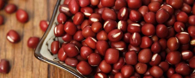 红豆不泡可以直接煮吗（红豆不泡水的话可以煮熟吗）