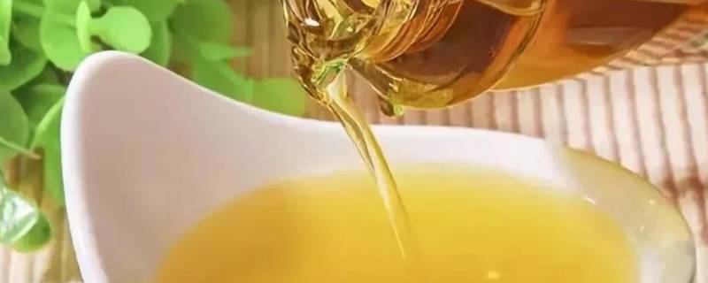 菜籽油过期了怎么处理（菜籽油过期了怎么处理掉）