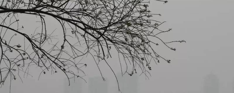 什么天气系统造成的大风为多（造成大风以什么等天气系统造成的大风居多）